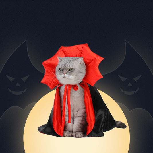 Vampire King Halloween Cat Costume