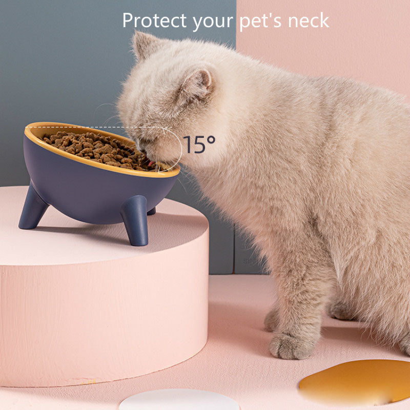 Cat & Dog Feeding Bowl