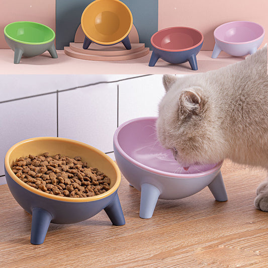 Cat & Dog Feeding Bowl