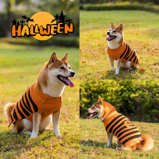 Halloween Dog Sweaters